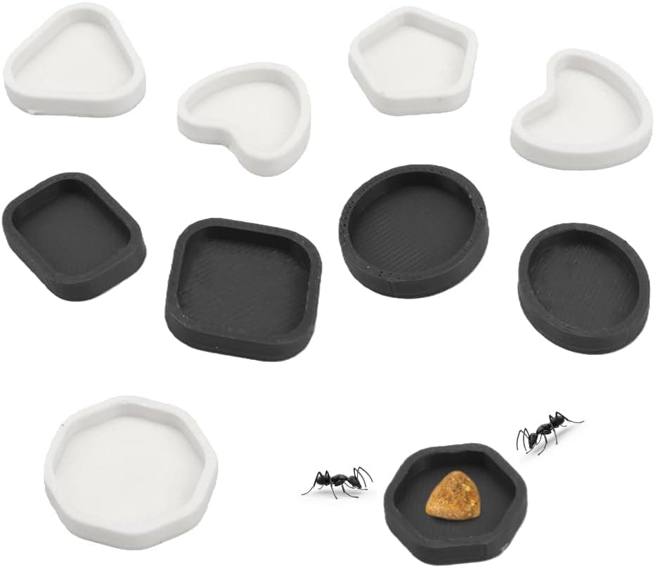10 Piezas Plato de Alimentación de Hormigas Araña Comedero de Plástico Cuenco para Comer Cricket para Hormigas Araña Dubia Cucaracha Cereza Cucaracha Caracol Cangrejo Insecto
