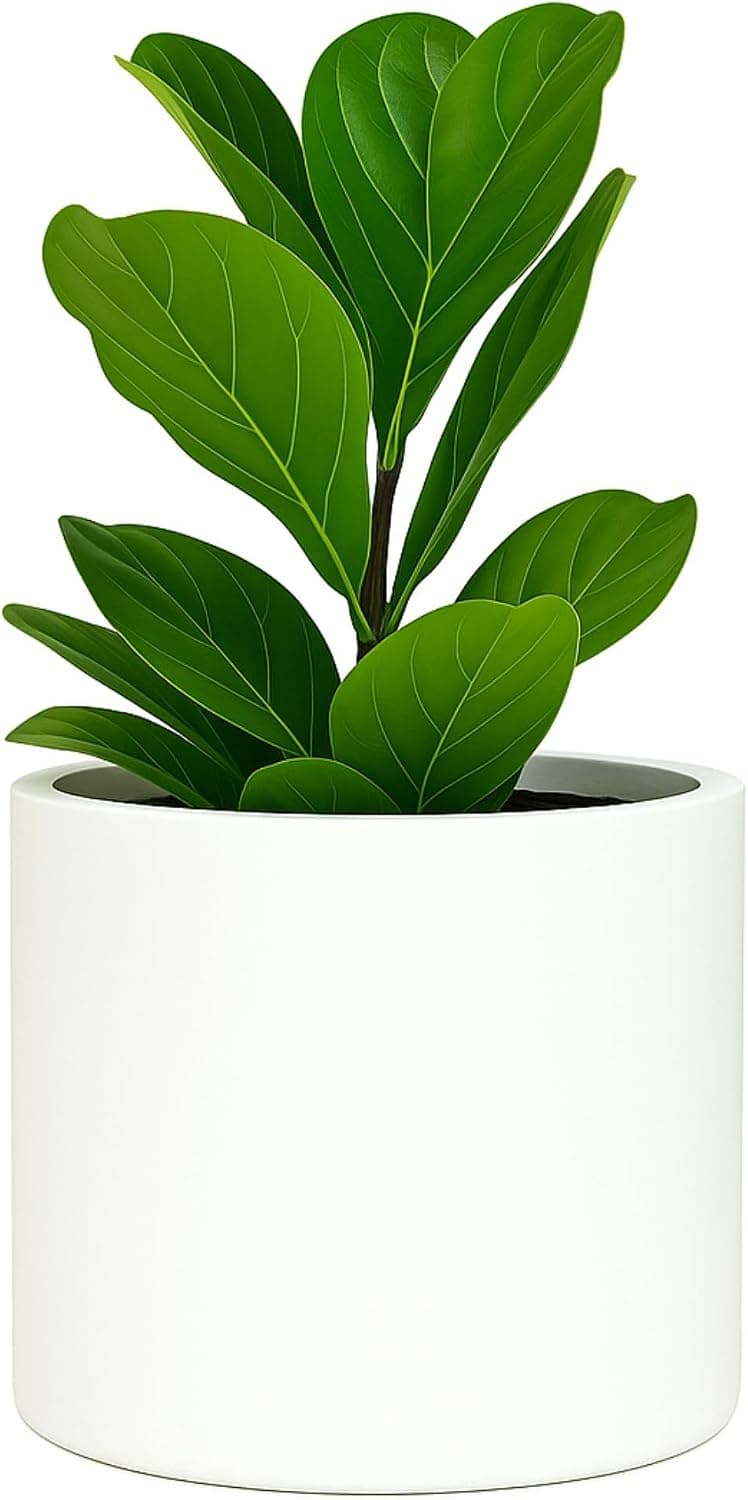 Maceta grande Fox & Fern para interior o exterior, blanco mate, 8 pulgadas | Resistente a los rayos UV y a las heladas, 70% más ligero que la cerámica, maceta con tapón de drenaje, maceta grande y moderna para sala de estar y patio