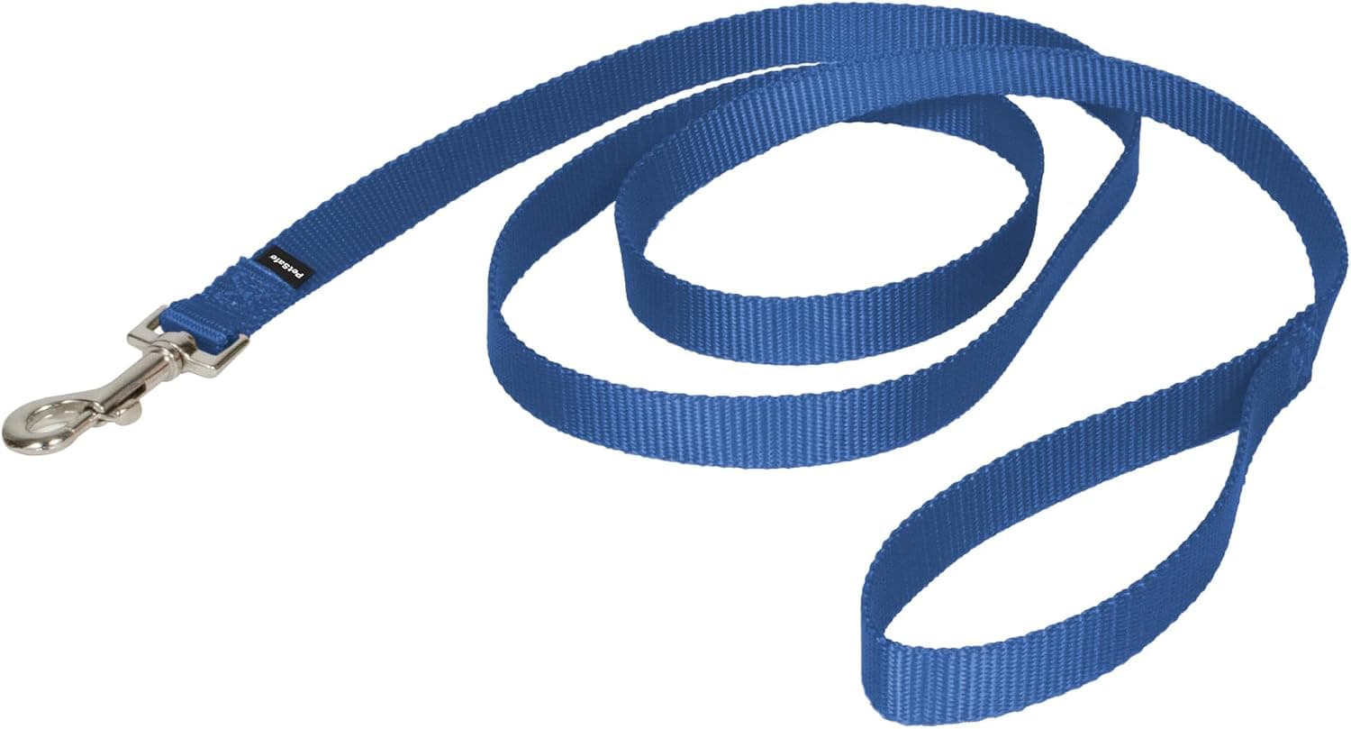 Correa de nailon para perros PetSafe, azul real, 3/4 pulgadas x 6 pies | Correa de nailon duradera con gancho de presión de perno fácil de poner y quitar, se combina perfectamente con el arnés Easy Walk y el collar de líder suave