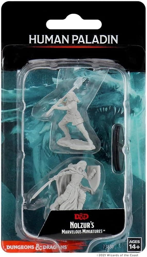 Las maravillosas miniaturas de Nolzur Wizkids - Paladín femenino humano de D&D - WZK73830