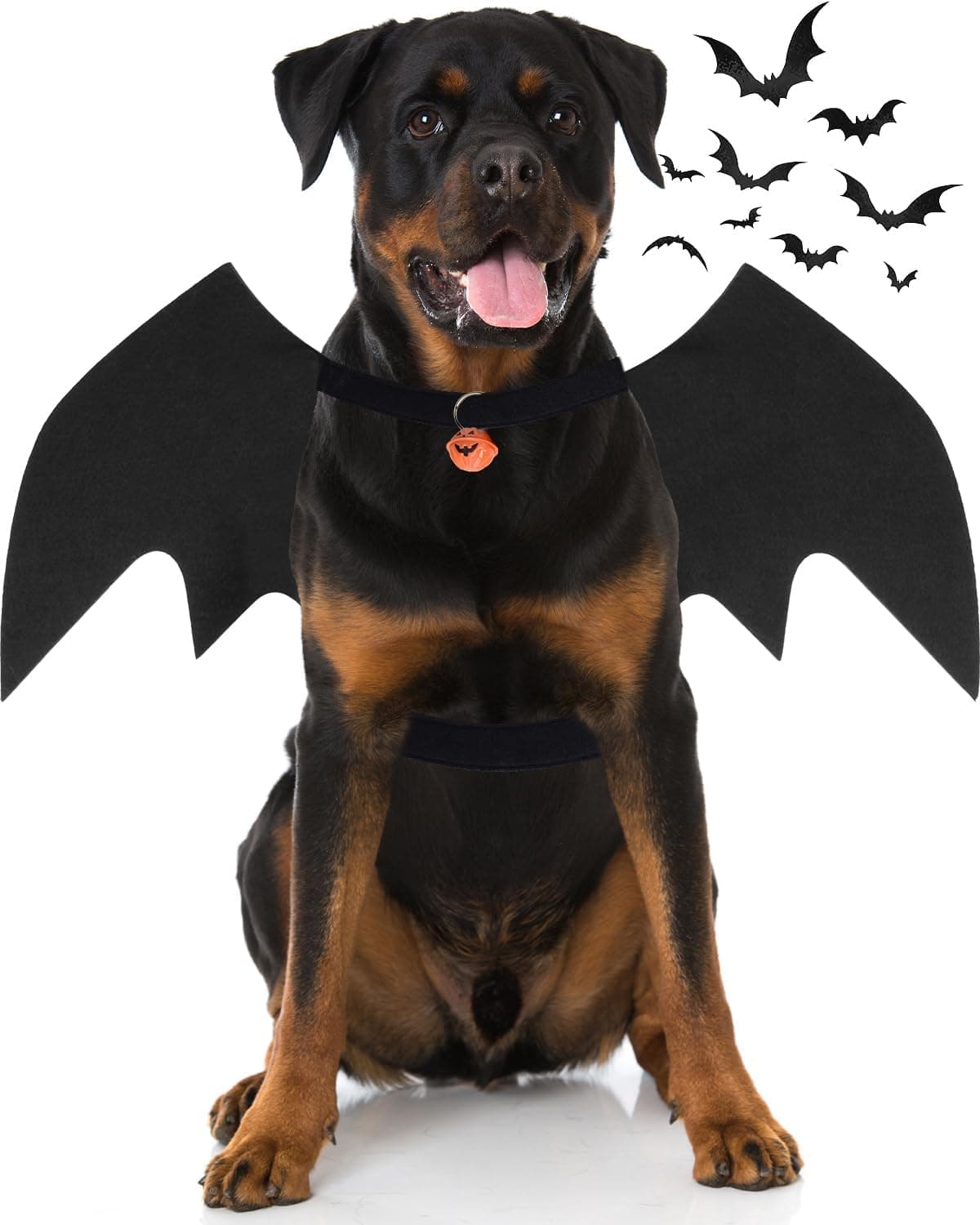 Disfraces de Halloween para perros grandes, alas de murciélago para perros con campana de calabaza, disfraz de fiesta de Halloween para mascotas (XL)