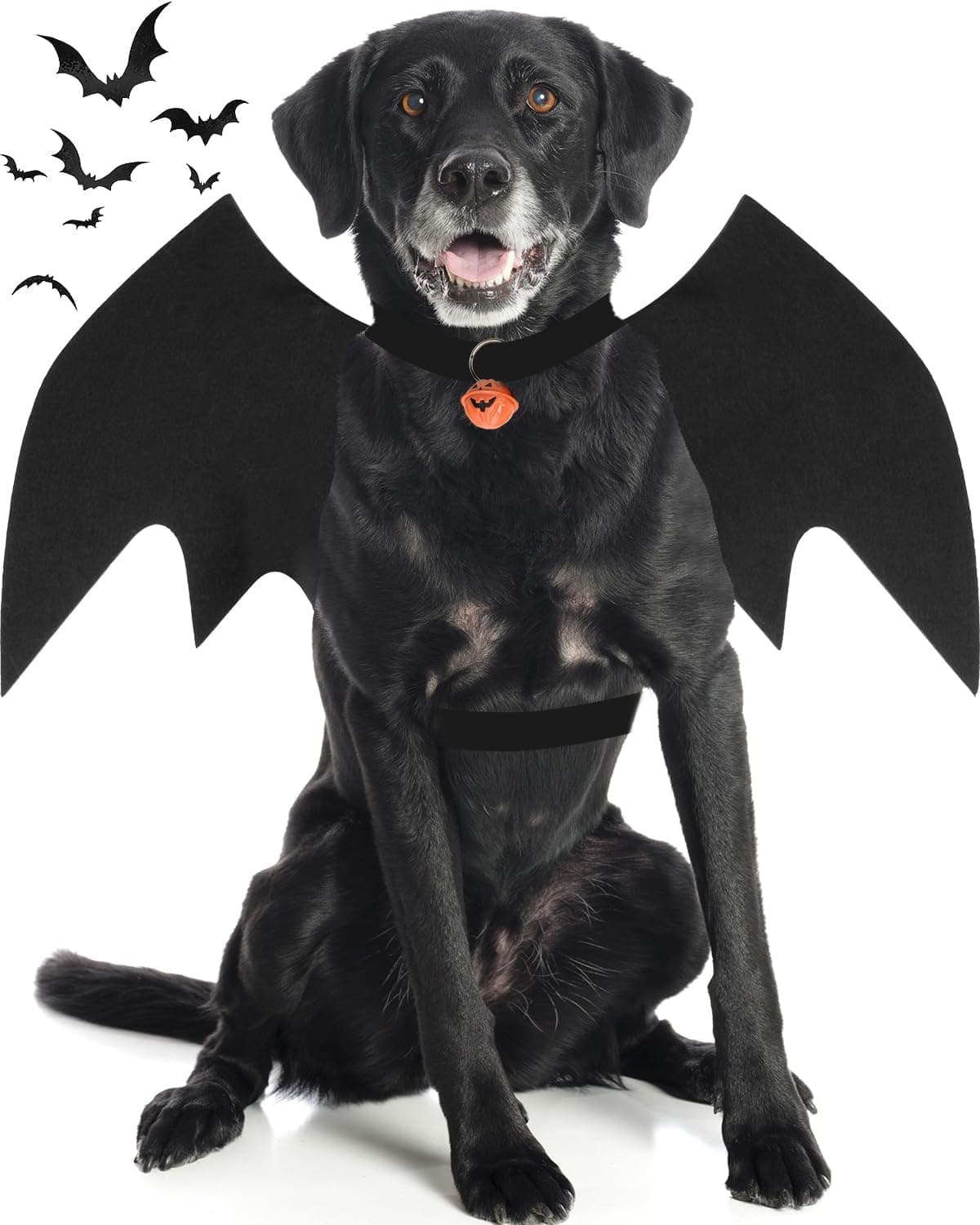 Disfraces de Halloween para perros grandes, alas de murciélago para perros con campana de calabaza, disfraz de fiesta de Halloween para mascotas (grande)