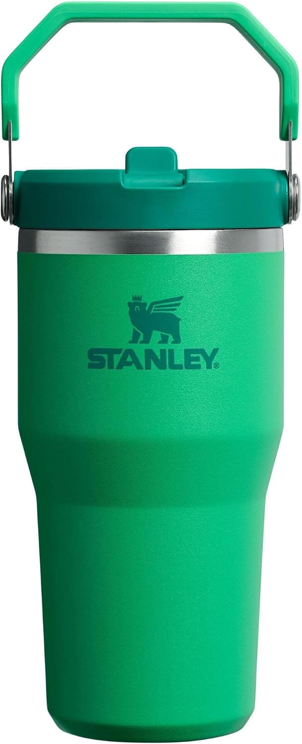 STANLEY Vaso con pajita IceFlow 2.0, 20 oz, Prado | Asa de fácil transporte | Tapa giratoria y pajita abatible | Botella de agua resistente a fugas | Acero inoxidable aislado | Sin BPA