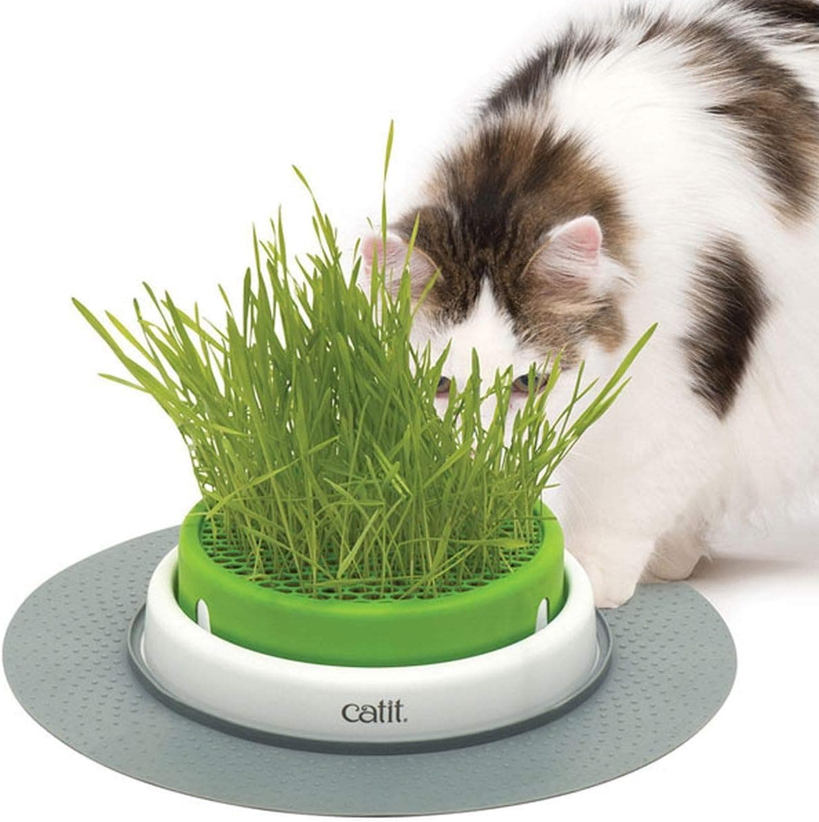 Plantador de hierba para gatos Catit Senses 2.0 | Plantador de hierba para gatos interactivo a prueba de gatos y juguete para gatos