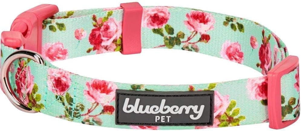 Blueberry Pet Floral Rose Dog Collar, Adjustable Small Dog Collar, Puppy Collar, Flower Dog Collar for Small Dogs, Turquesa, X-Small, Neck 8"-11", Respetuoso con el medio ambiente, Accesorio de moda para mascotas