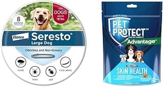Paquete de perro grande Seresto | 8 meses de protección + Pet Protect Skin Health masticables suaves para perros 60 unidades