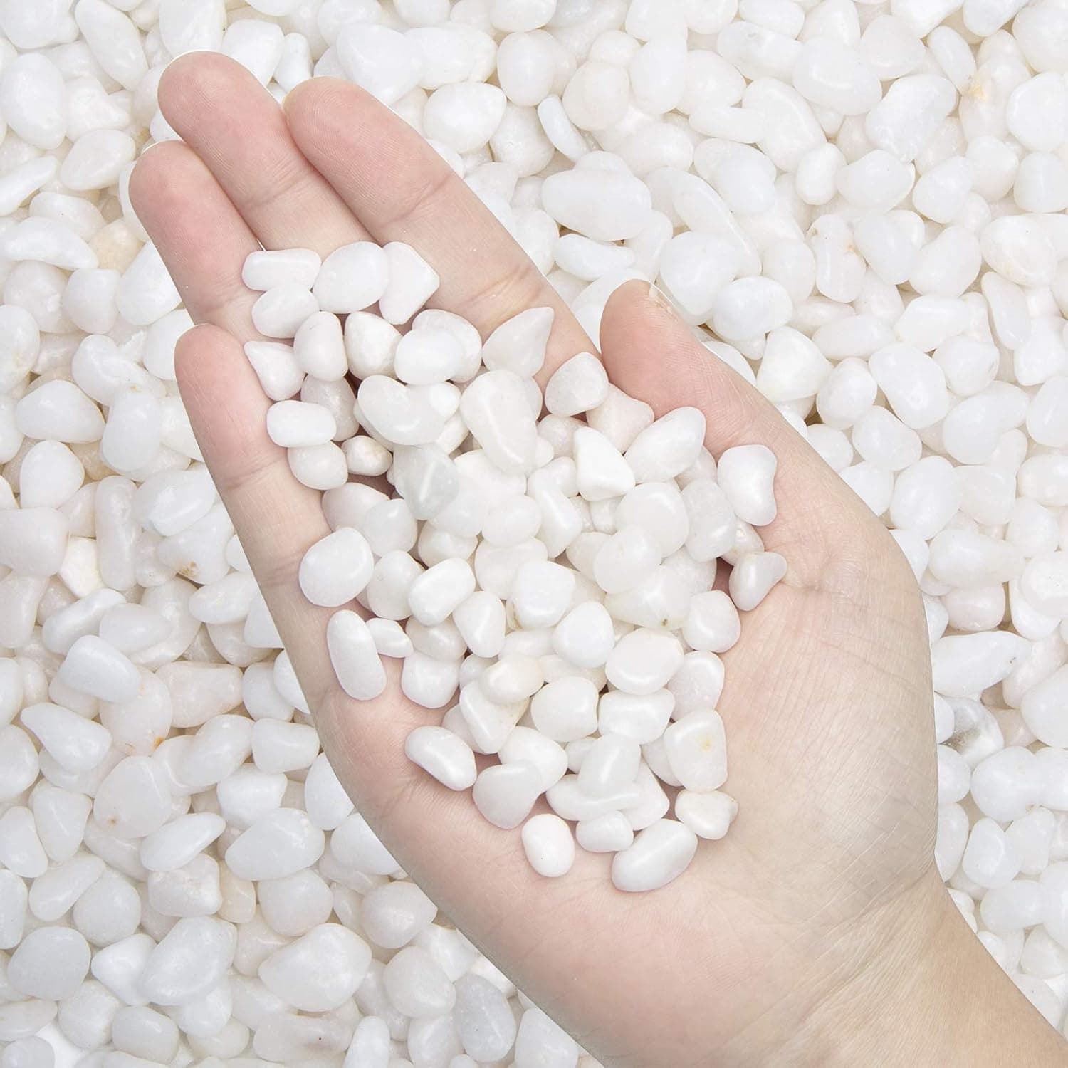 Guijarros blancos decorativos pulidos naturales – Piedras pequeñas de 2 libras de tamaño de grava de 3/8 pulgadas, guijarros de rocas de río para plantas, decoración del hogar, grava de acuario, rellenos de jarrones, jardín de hadas, piedras de paisajismo al aire libre