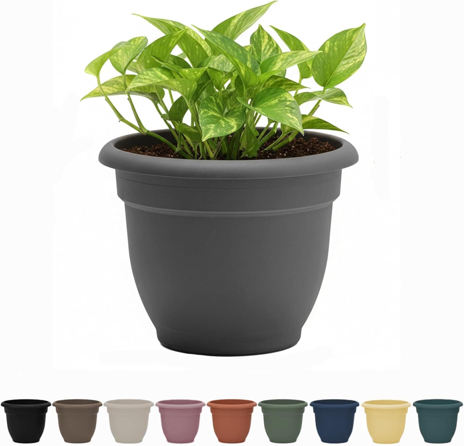 Bloem Ariana Maceta con autorriego: 12" - Carbón - Maceta de resina duradera, para uso interior y exterior, disco de autorriego incluido, jardinería, capacidad de 3 galones