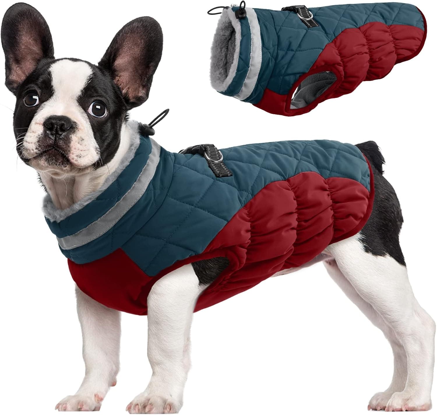 FUAMEY Abrigo para perros pequeños, chaqueta de invierno de forro polar con arnés