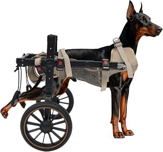 Dog Wheelchair All-Terrain Adjustable Large Dogs Wheelchair for Back Legs, Mobility Aid for Dog Pets Hind Limb Rehabilitation Older Disabled