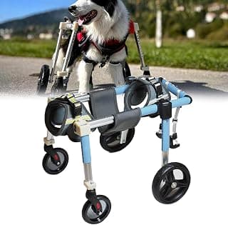 Silla de ruedas plegable para perros con soporte completo de 4 ruedas, ayuda de movilidad para mascotas ajustable sin herramientas para perros tetrapléjicos y discapacitados, carrito de rehabilitación resistente para mascotas mayores y lesionadas(M)