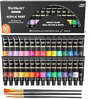 Shuttle Art Juego de pintura acrílica, tubos de 30 x 12 ml, calidad artística, pigmentos ricos no tóxicos, colores ideales para niños y adultos, pintura profesional sobre rocas, lienzo, madera, arcilla, tela, artesanías de cerámica