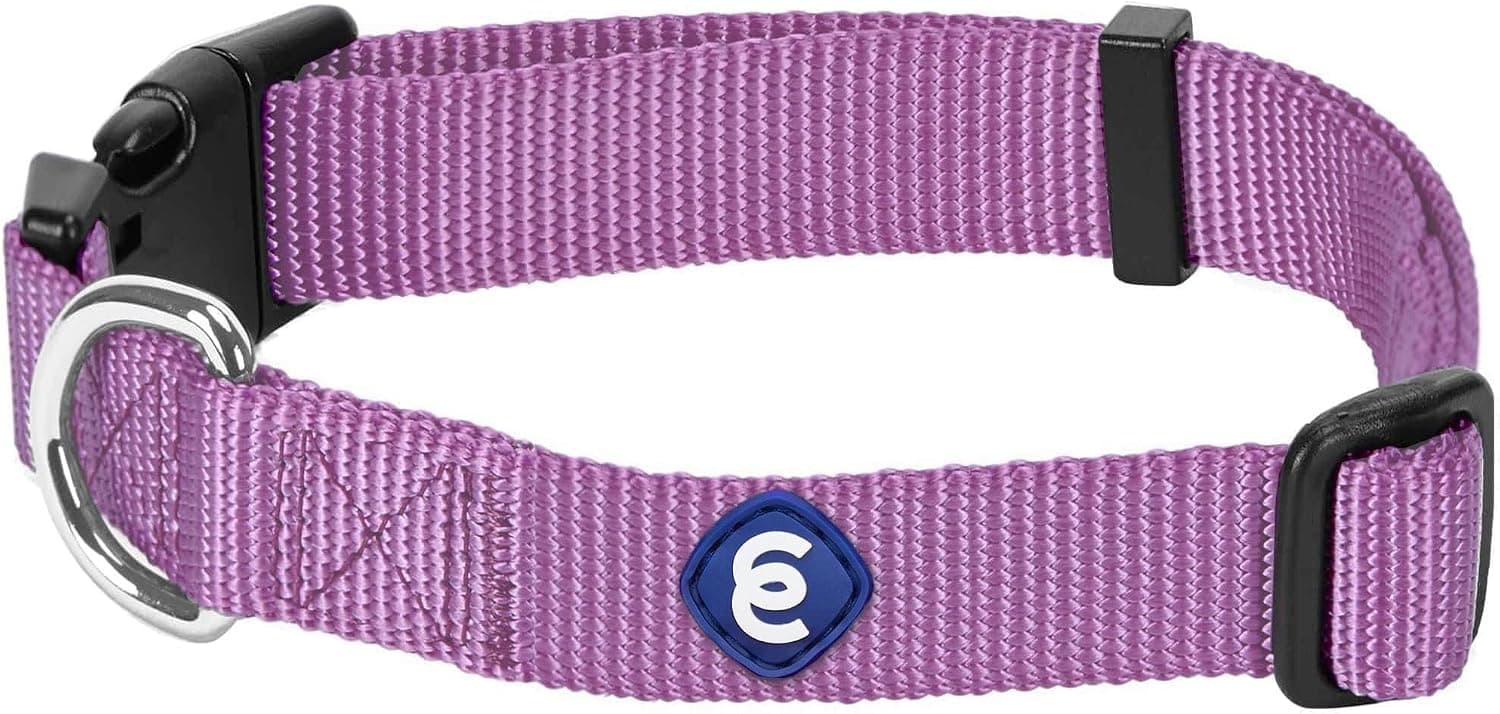 Blueberry Pet Essentials collar para perros pequeños a juego | Collares ajustables clásicos de nailon de color sólido para perros pequeños | Collar de perro morado para perros pequeños