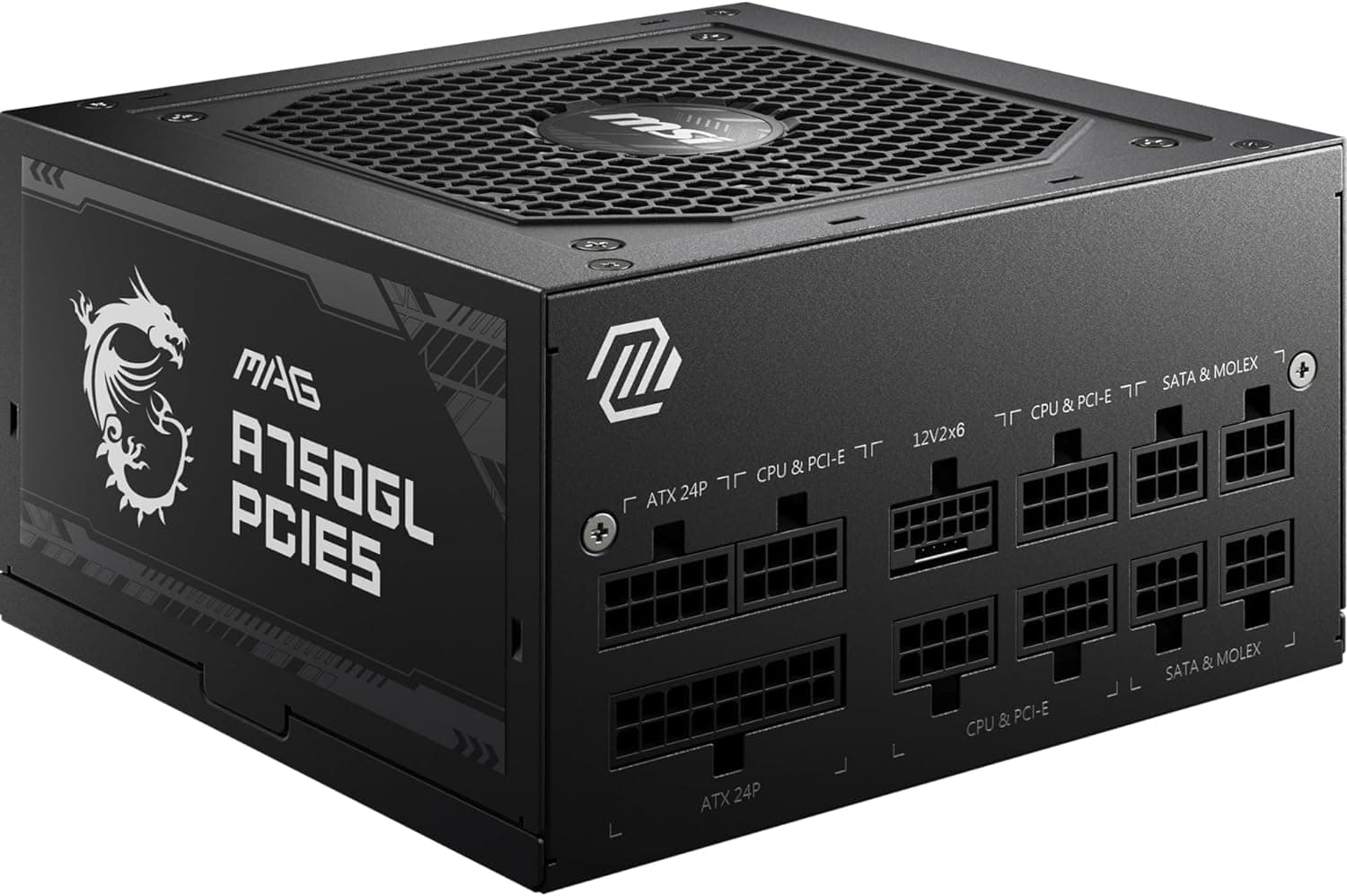 MSI MAG A750GL PCIE5 - EU Cord