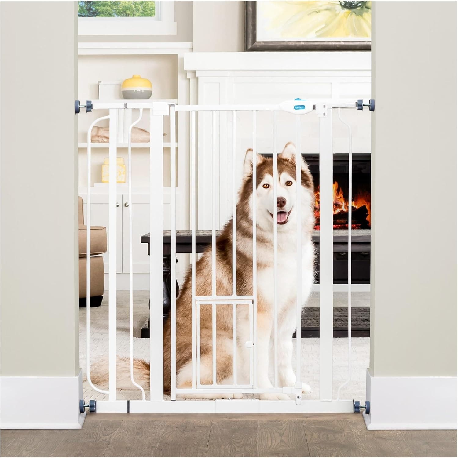 Carlson Puerta para perros extra alta de 36 pulgadas para puertas y parte inferior de escaleras, puerta de metal para mascotas con puerta pequeña para mascotas, se expande de 29.5 a 36.5 pulgadas, color blanco