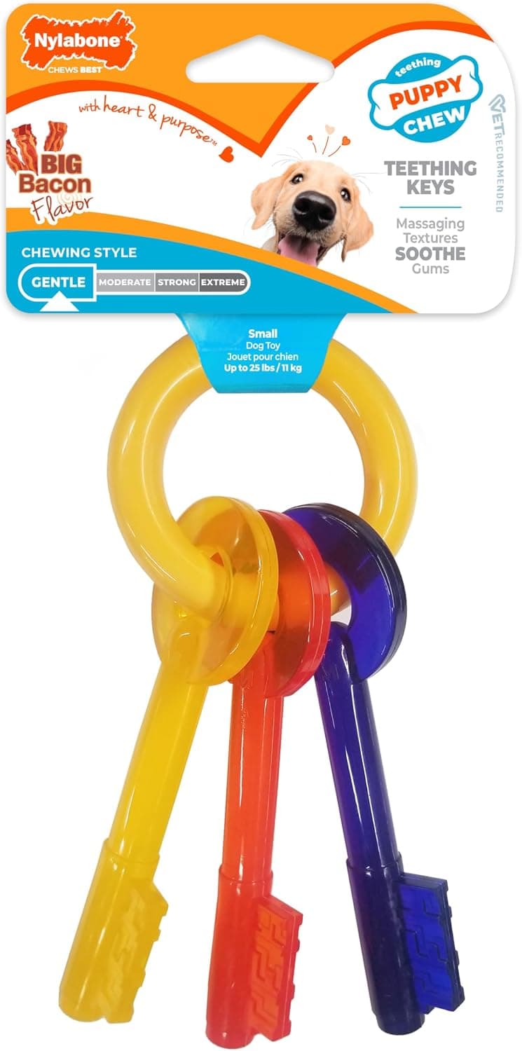Nylabone Puppy Chew Llavero para dentición, juguete masticable para perros, sabor a tocino, pequeño | Razas medianas, juguetes calmantes para la dentición de cachorros, enriquecimiento para cachorros, congelación para mayor comodidad, para cachorros de hasta 35 lbs