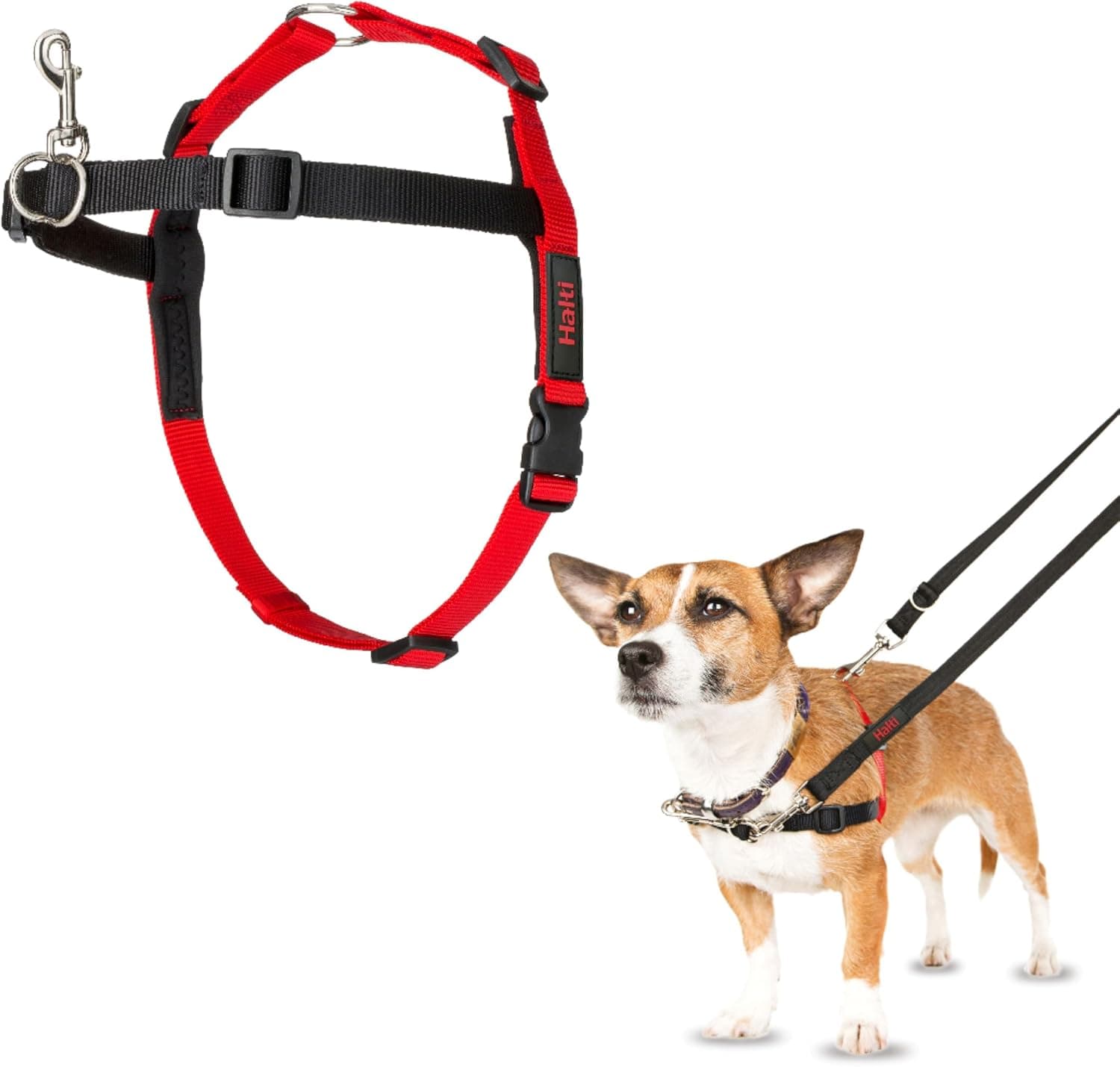 Arnés para perros con control frontal Halti | Tamaño pequeño | Arnés para perros para dejar de tirar de la correa | Ayuda de entrenamiento antitirones | Arnés delantero sin tirones para perros pequeños