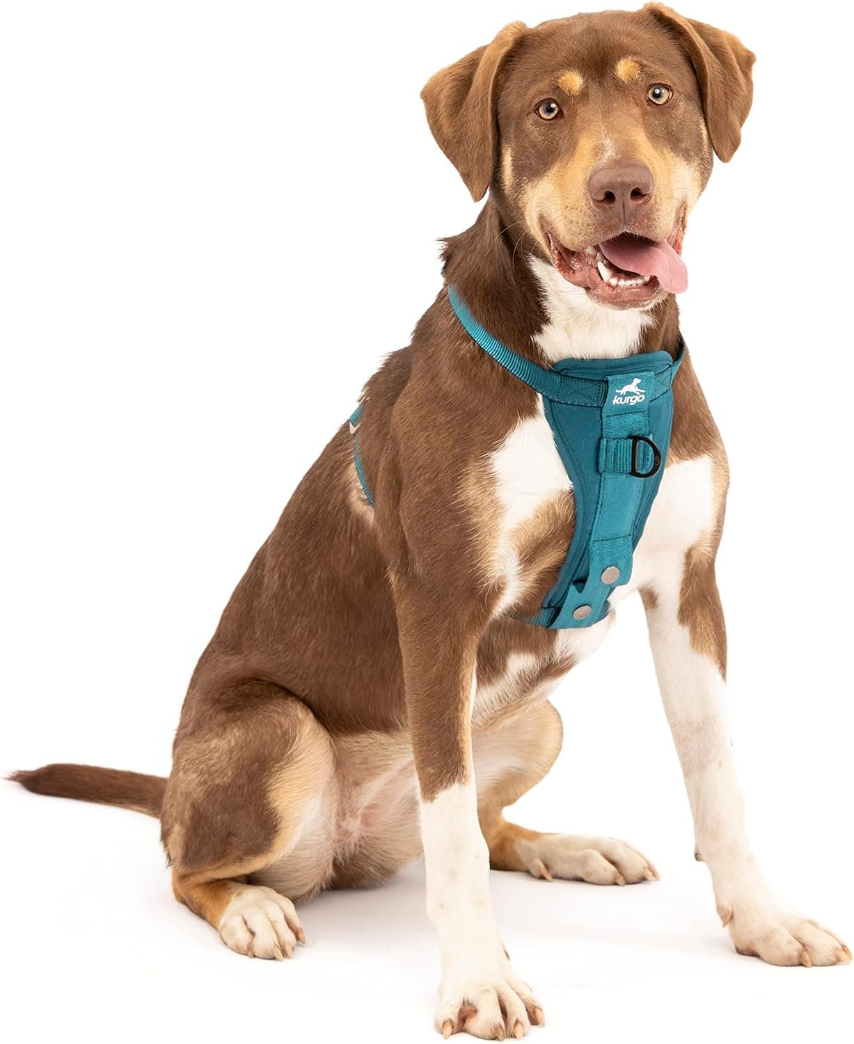 Kurgo Arnés de coche para perros Tru-Fit de resistencia mejorada - Arnés de seguridad para viajes para mascotas - Ajuste certificado por prueba de choque - Ajuste de cinco puntos - Hebilla segura - Pecho acolchado - Azul tinta - Mediano