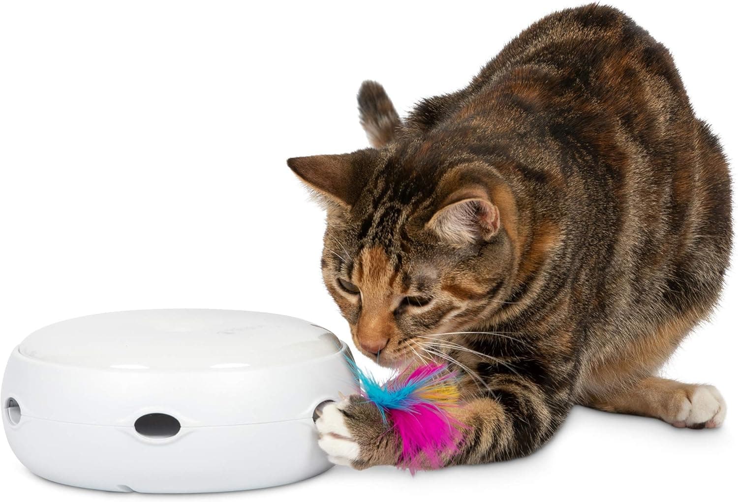 PetFusion Ambush Juguete electrónico interactivo para gatos con plumas giratorias | Movimiento automatizado, genera juego activo, estimulación mental para sesiones en solitario, excelente rutina diaria de ejercicio en interiores, seguro para mascotas