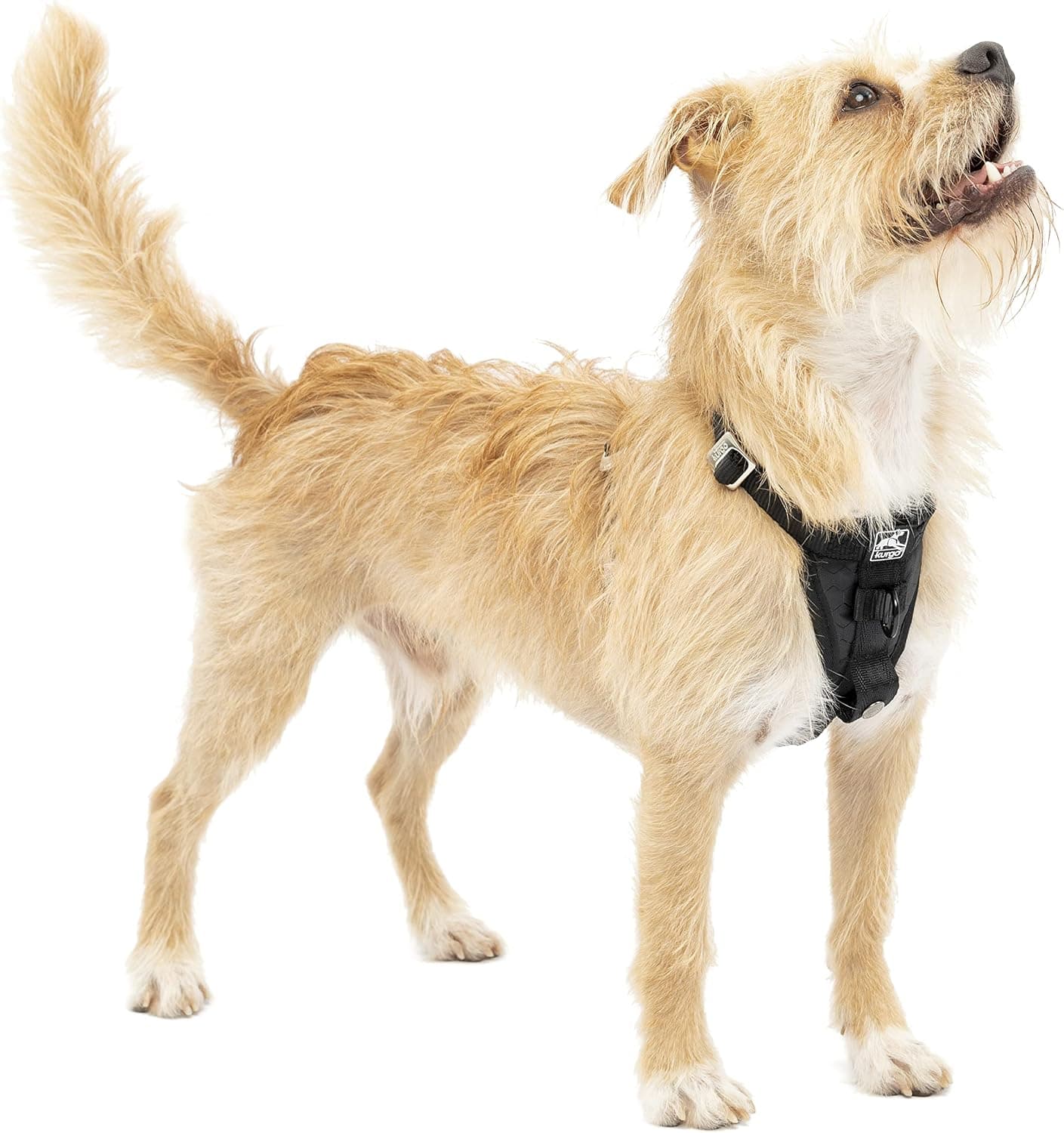 Kurgo Enhanced Strength Tru-Fit Smart Harness, Black, Extra Small | Crash Tested Car Harness for Dogs up to 75Lbs, Seatbelt Tether & Steel Carabiner, All-Steel Buckles, Padded Chest for Comfort
