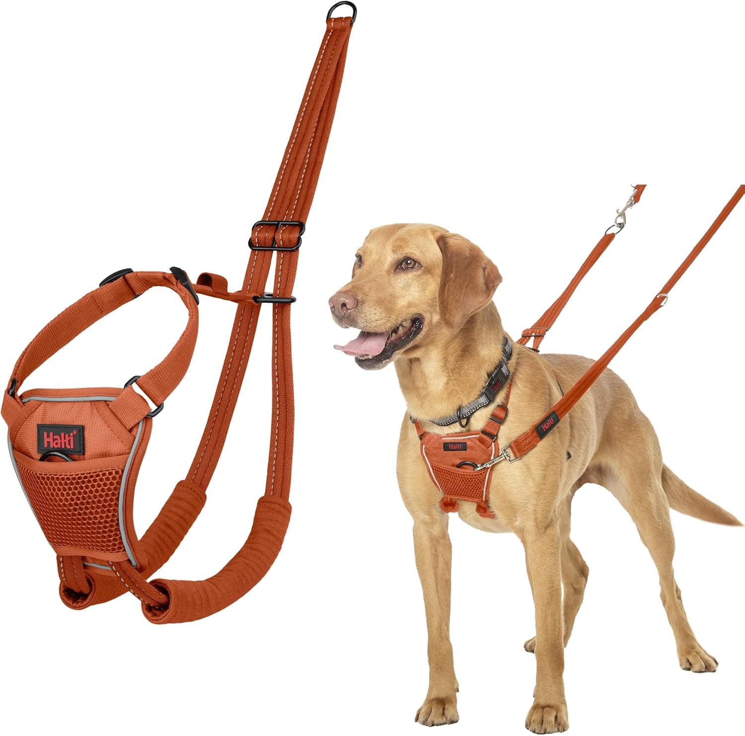Arnés para perros Halti sin tirones | Talla M, Naranja Quemado | Evite que su perro tire de la correa | Ajustable, ligero y fácil de usar | Arnés de adiestramiento para perros medianos