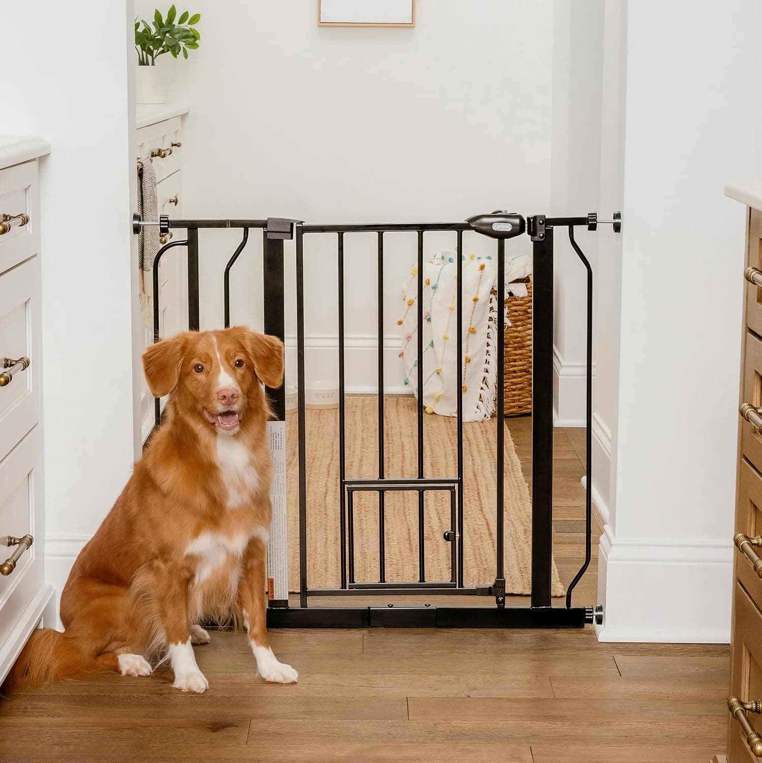 Carlson Puerta para perros extra ancha de 29,5 a 36,5 pulgadas con puerta pequeña para mascotas, puerta de seguridad para mascotas interior de metal montada a presión, negra, probada y confiable por padres de mascotas, diseño estadounidense, propiedad estadounidense