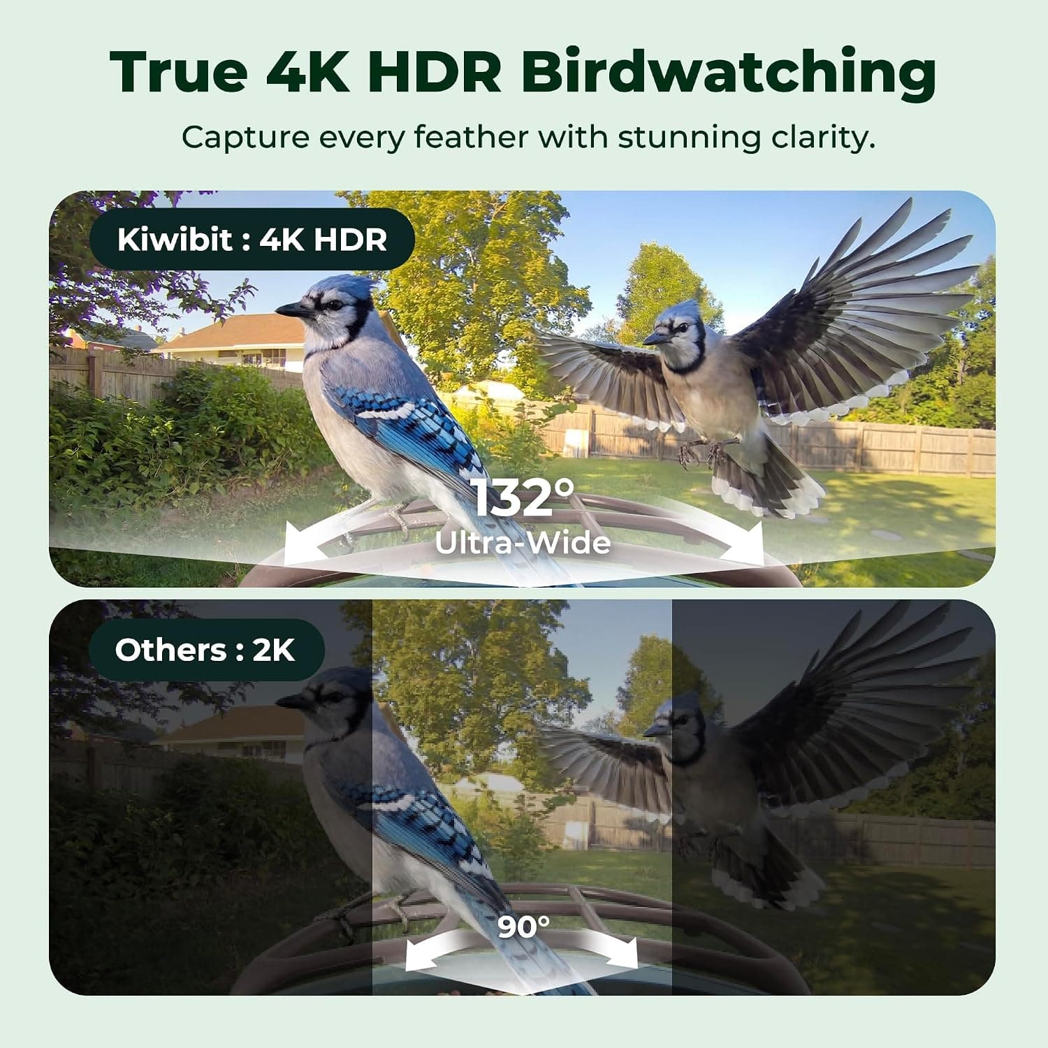 Comedero inteligente para pájaros con cámara 4K AI con energía solar, sin suscripción | Identificación de especies de aves por IA de por vida, transmisión en vivo 4K, fotos de 8MP, alerta de visita de aves en tiempo real, regalo de observación de aves en el patio trasero