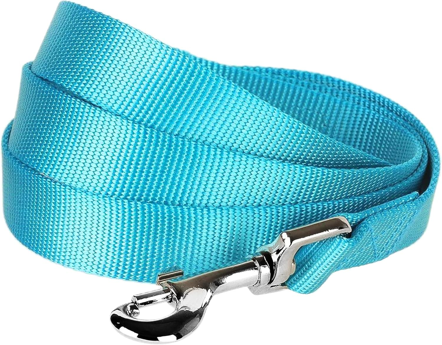 Blueberry Pet Essentials Correa para perros color turquesa para perros X-Small -5' * 3/8" | Correa de nailon resistente | Correa liviana para cachorros y gatos para caminar y entrenar