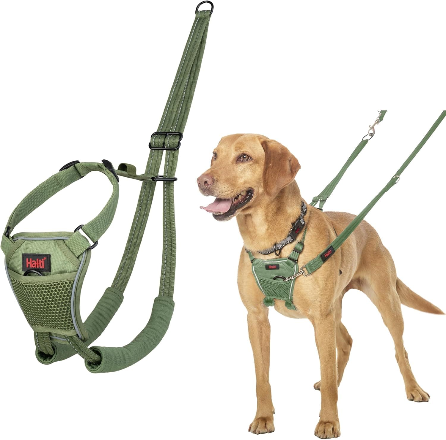 Arnés para perros Halti sin tirones | Talla M, Verde bosque | Evite que su perro tire de la correa | Ajustable, ligero y fácil de usar | Arnés de adiestramiento para perros medianos