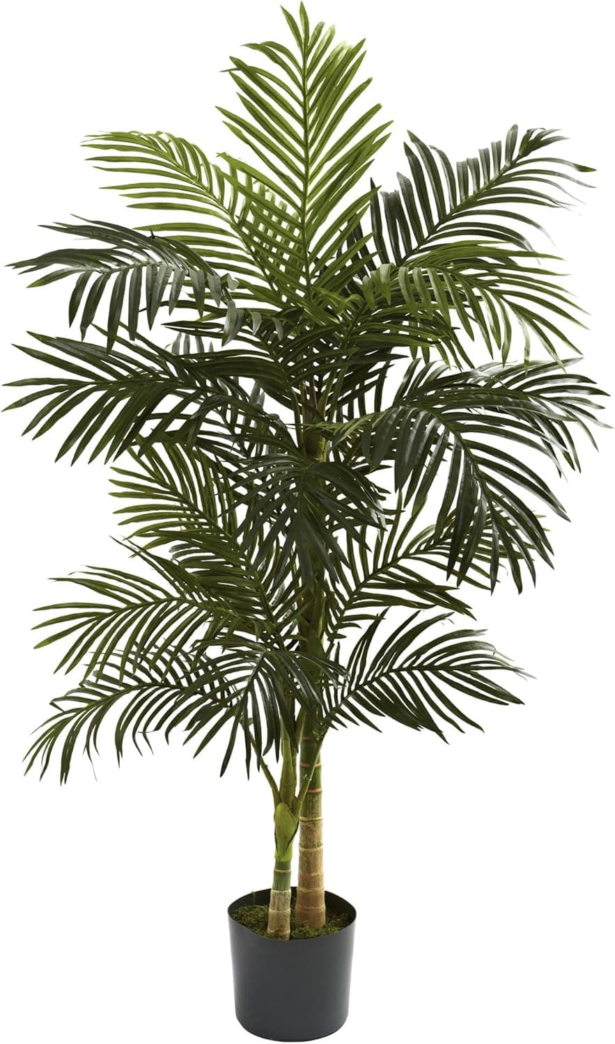 Palmera artificial de caña dorada de 5 pies con maceta para vivero Nearly Natural | Planta tropical sintética de doble tallo, decoración de sala de estar interior, fácil instalación, bajo mantenimiento