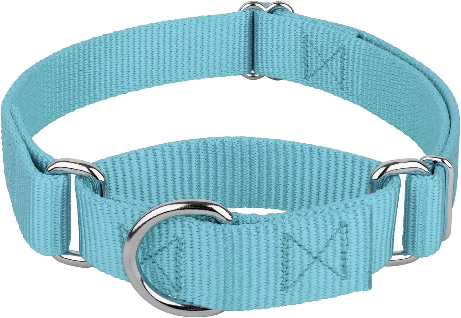 Country Brook Petz – Collar de perro Martingale – Collar de entrenamiento resistente sin hebilla – Collar de perro de servicio para todos los cachorros – 20 colores vibrantes (azul océano, 1 pulgada, grande)