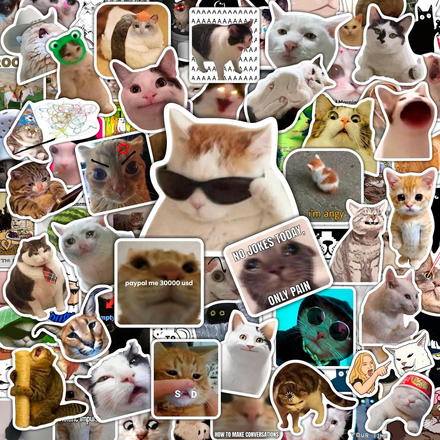100Pcs Cat Meme Stickers for Water Bottle and Laptop - Waterproof Vinyl - Funny Cat Stickers, Gifts for Women & Men