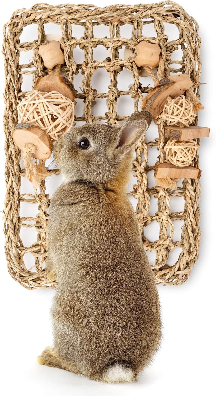 andwe Rabbit Seagrass Protector Mat with Toys (11 X 7.87-inch) | DIY Mat For Rabbit Bunny Chinchilla Guinea Pigs or other Rodent Pets