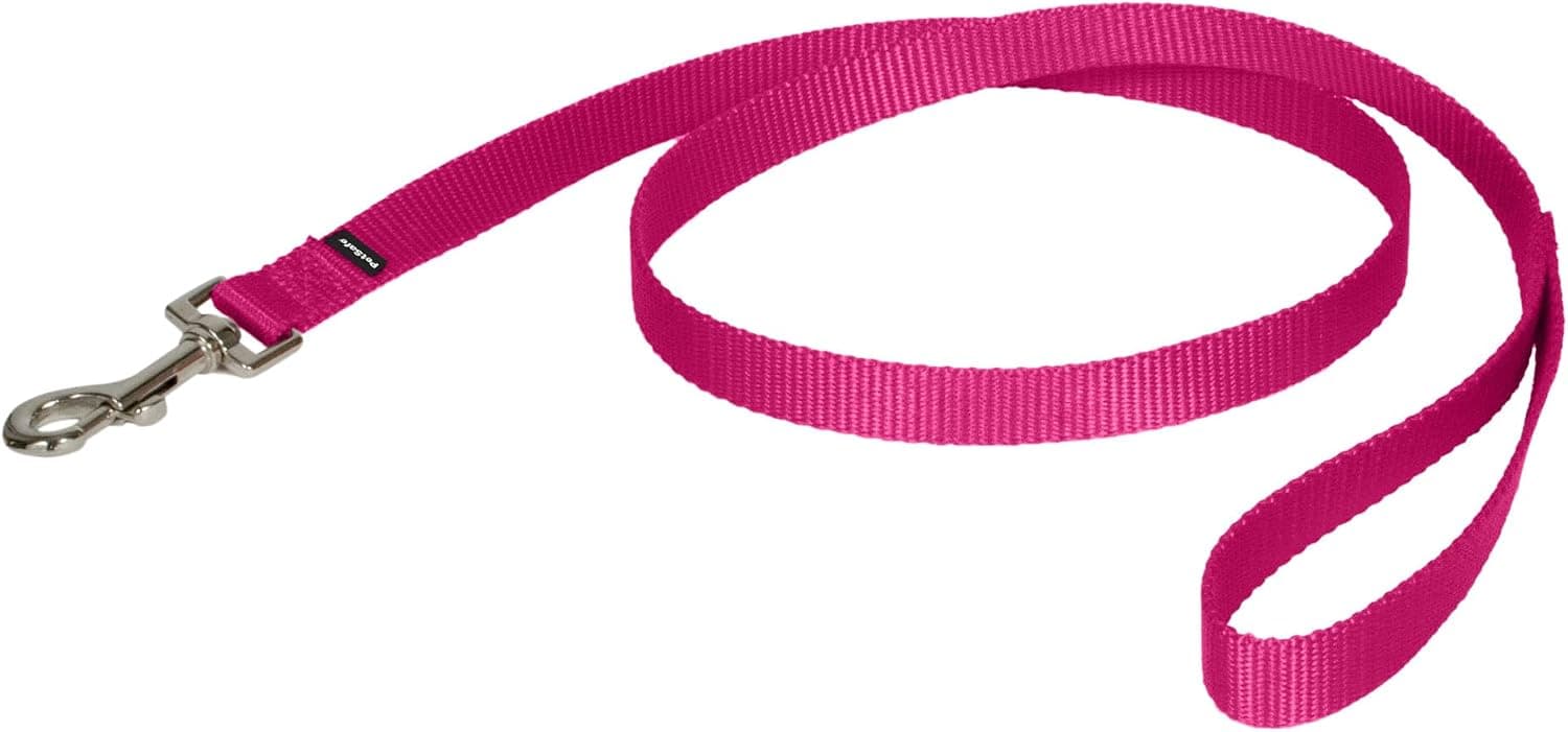 Correa de nailon para perros PetSafe, rosa frambuesa, 3/4 pulgadas x 4 pies | Correa de nailon duradera con gancho de presión de perno fácil de poner y quitar, se combina perfectamente con el arnés Easy Walk y el collar de líder suave
