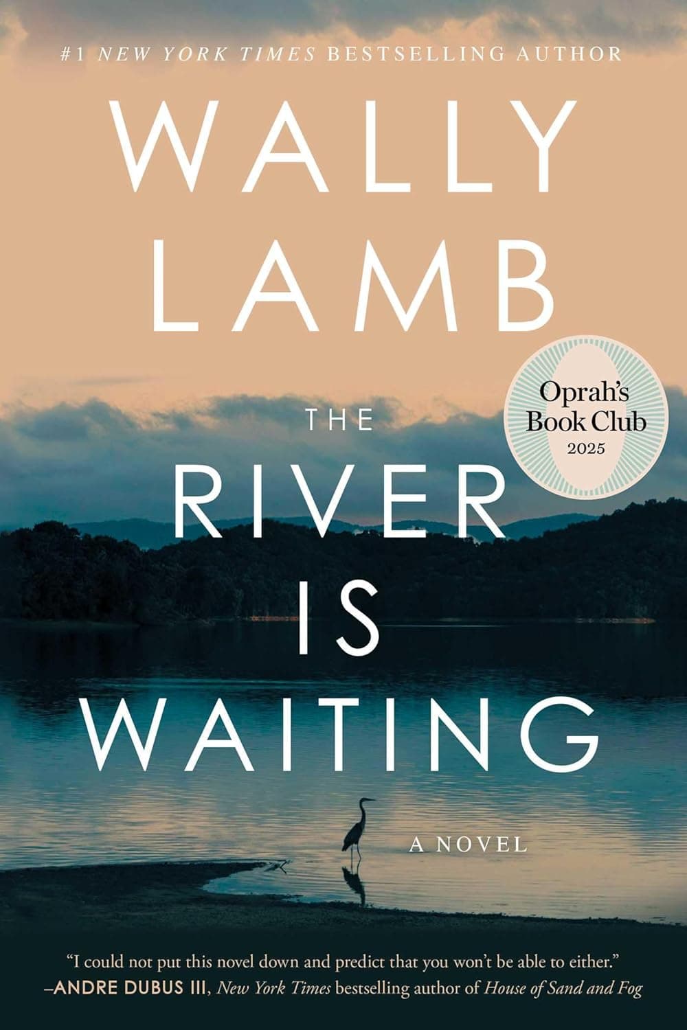 El río está esperando (Club de lectura de Oprah): una novela